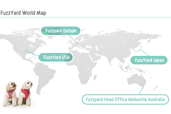 fuzz_map