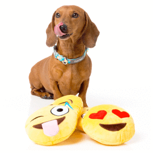 犬猫用 おもちゃ/ぬいぐるみ　emojiトイ　LOVE EYES