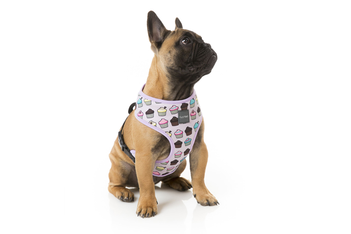 ソフトハーネス | FuzzYard（ファズヤード）公式通販 - おしゃれな犬服・犬グッズのペットブランド