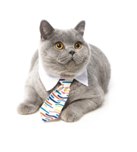 犬猫用　ネクタイ　ロードカーナビー
