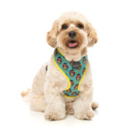 FZH852-6_Harness_Gorillz_Dog05